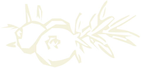 Ginepro